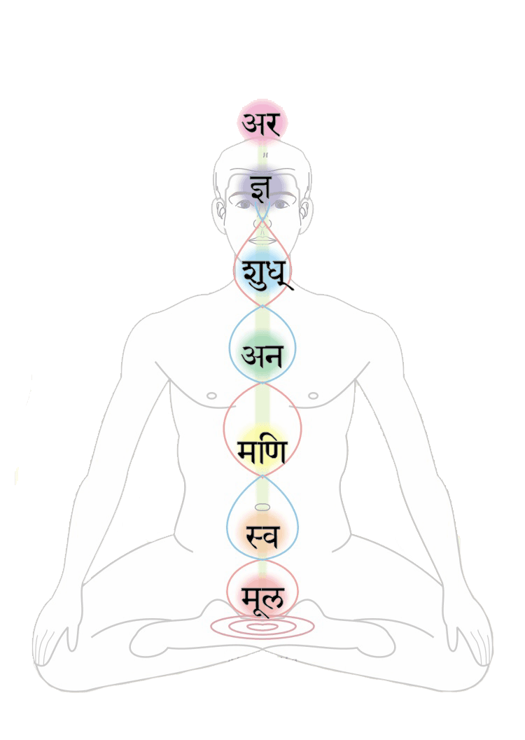 The Chakras